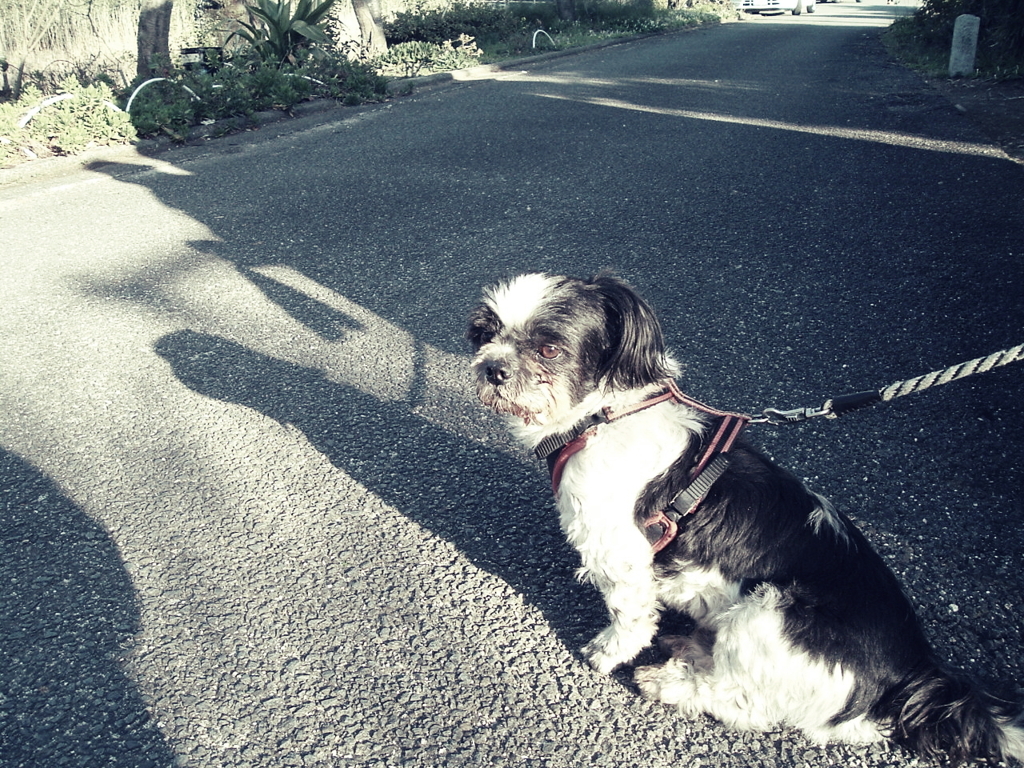DSCF5829 asd