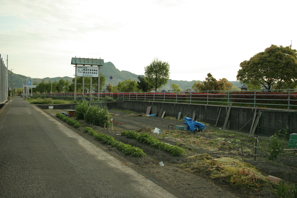 いつも通りの朝
