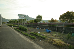 いつも通りの朝