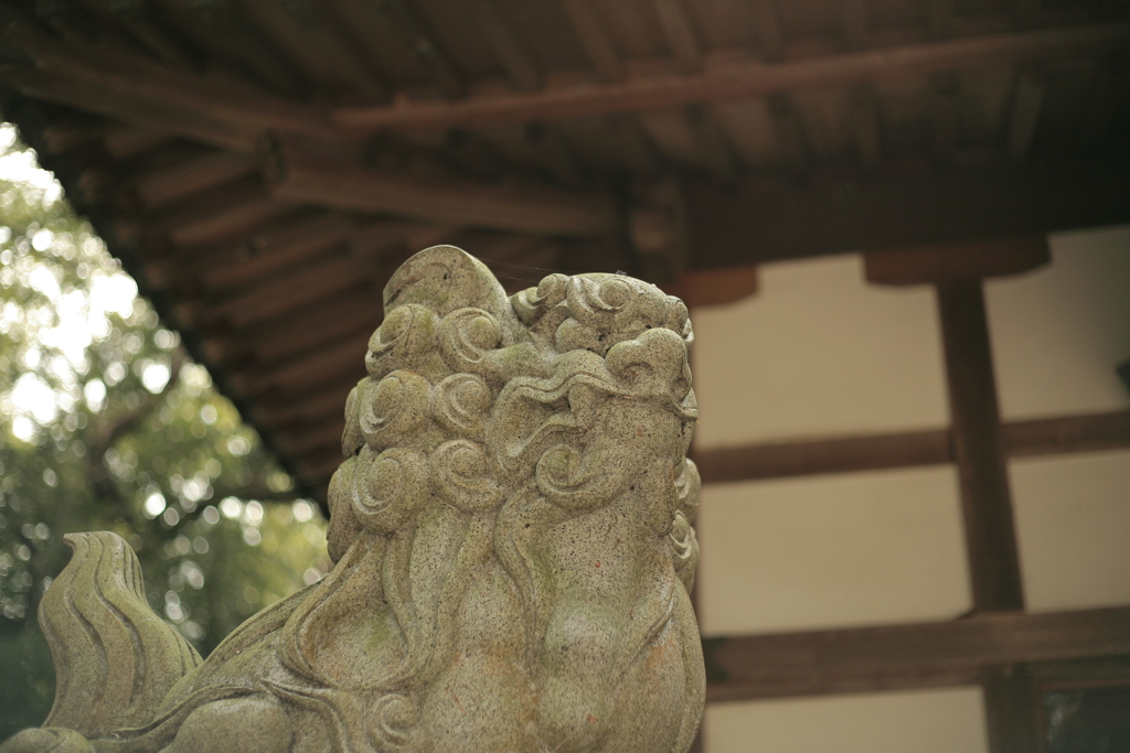 狛犬