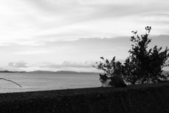 今日もたそがれるトム君