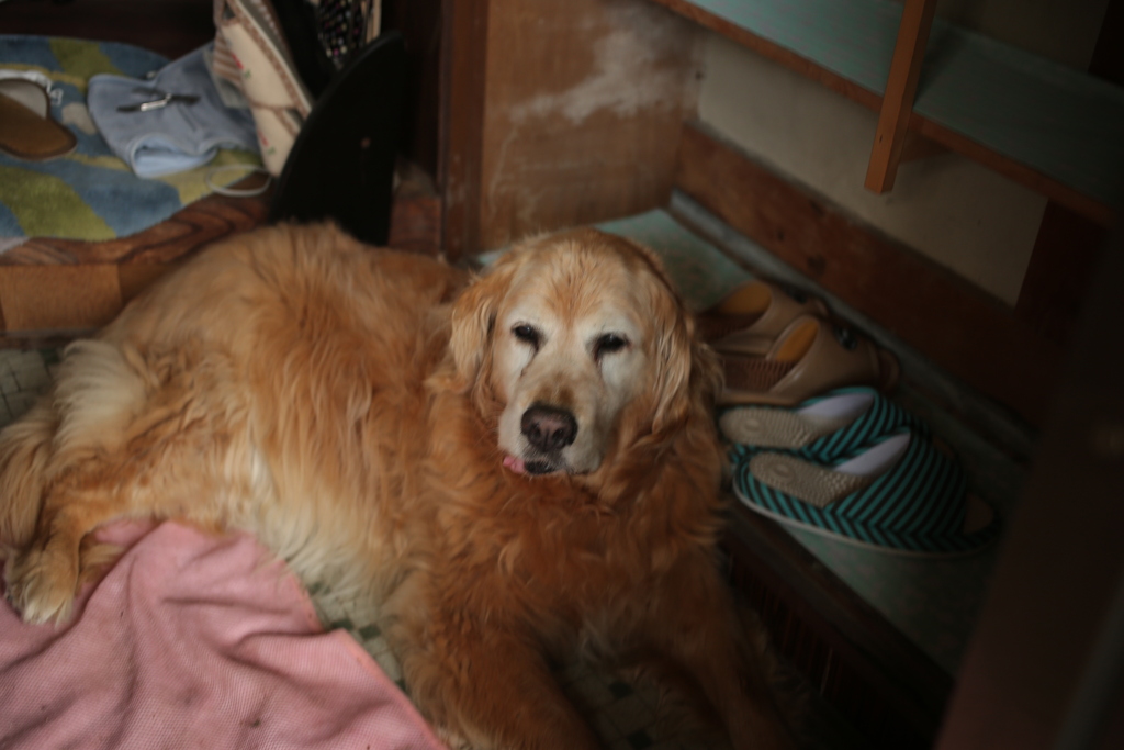 ほのぼのしてるみゅうちゃん