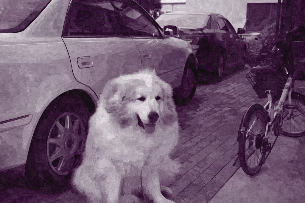 IMG_3930 m_FotoSketcher