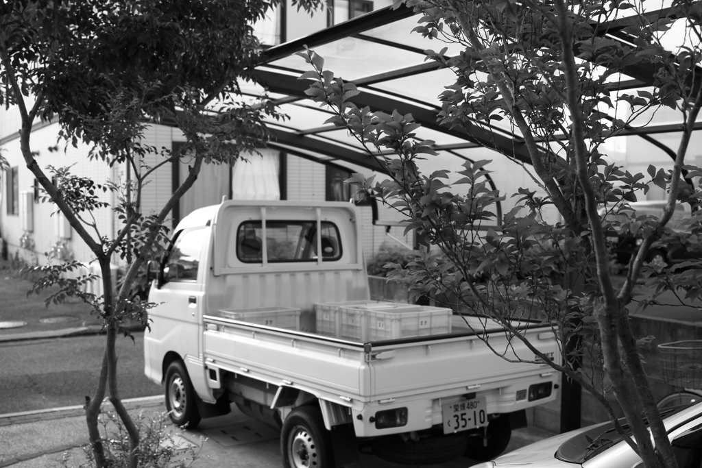 日曜の朝@2019‐10‐06