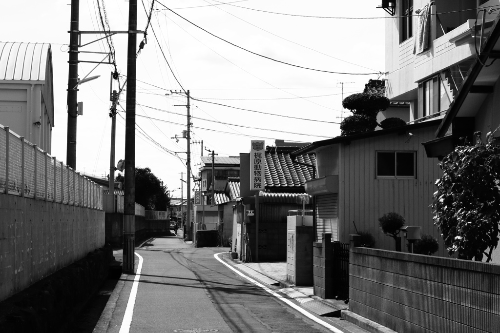 レタッチも含めると写真はいろいろできておもろいな!(^^)!