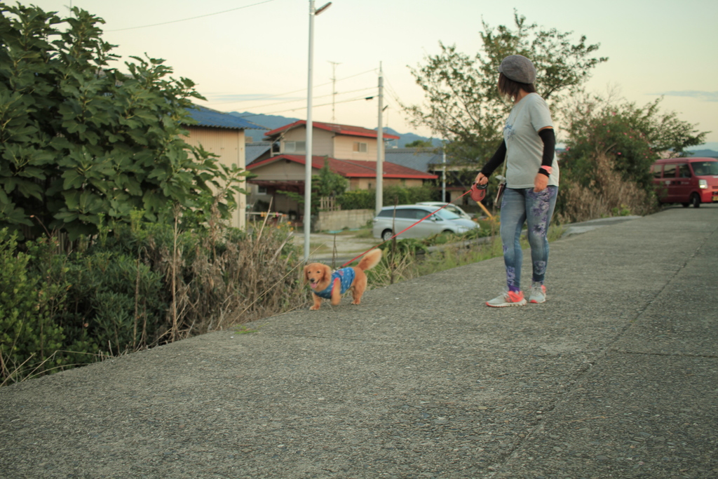 ルークも散歩中