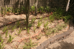 Eos30D全く問題ないですな　!(^^)!