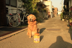 ボーロにつられて表に出てきたみゅうちゃん