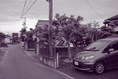 朝＠2020‐06‐14