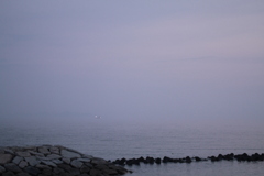 安もんズーム使ったなりの写り