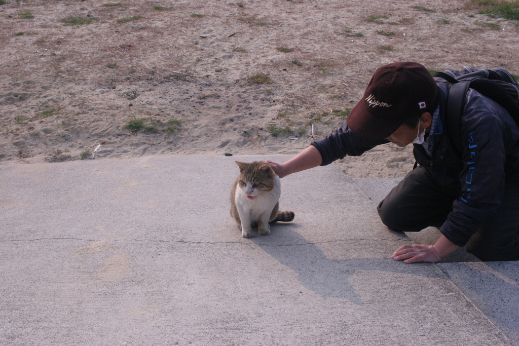 愛され猫トム君