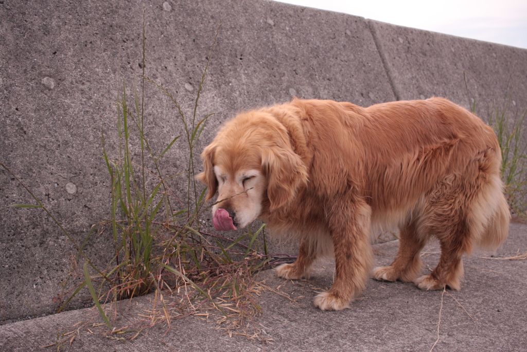 みゅうちゃんと一遊び