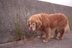 みゅうちゃんと一遊び