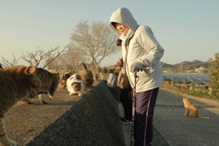 横山さんと猫