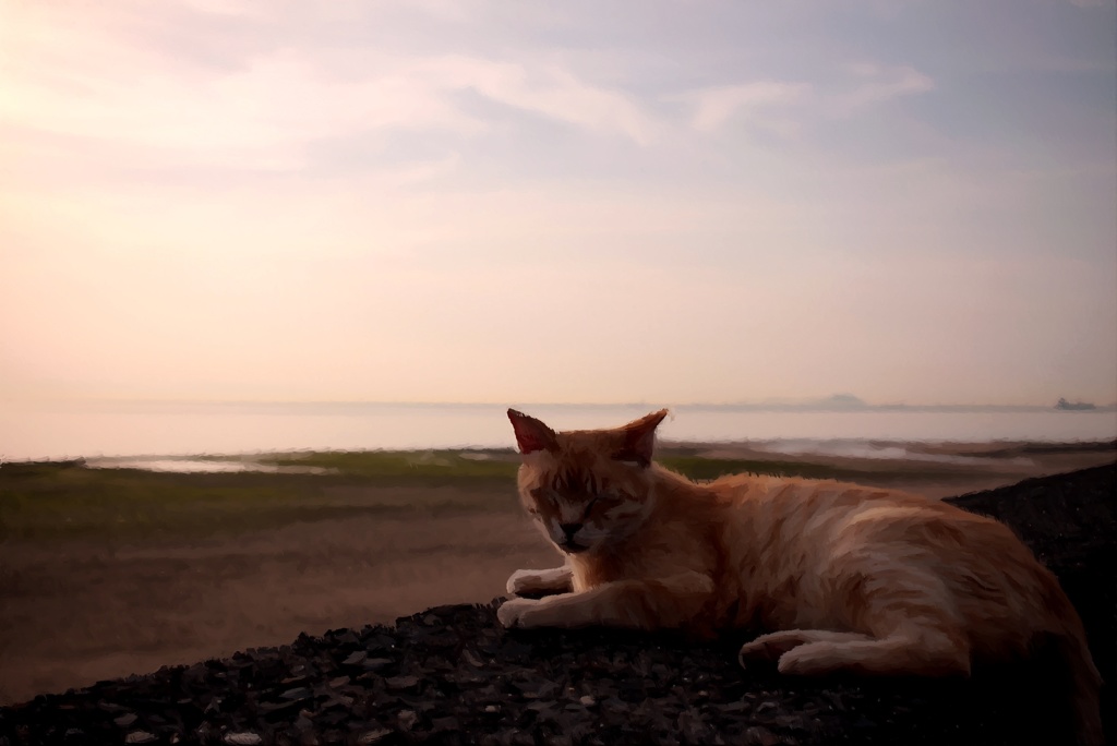 IMG_3941_FotoSketcher