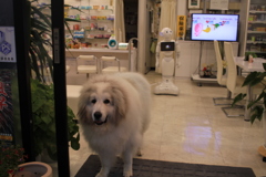 お見送りしてくれるココさん