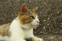 ＠2021‐06‐20