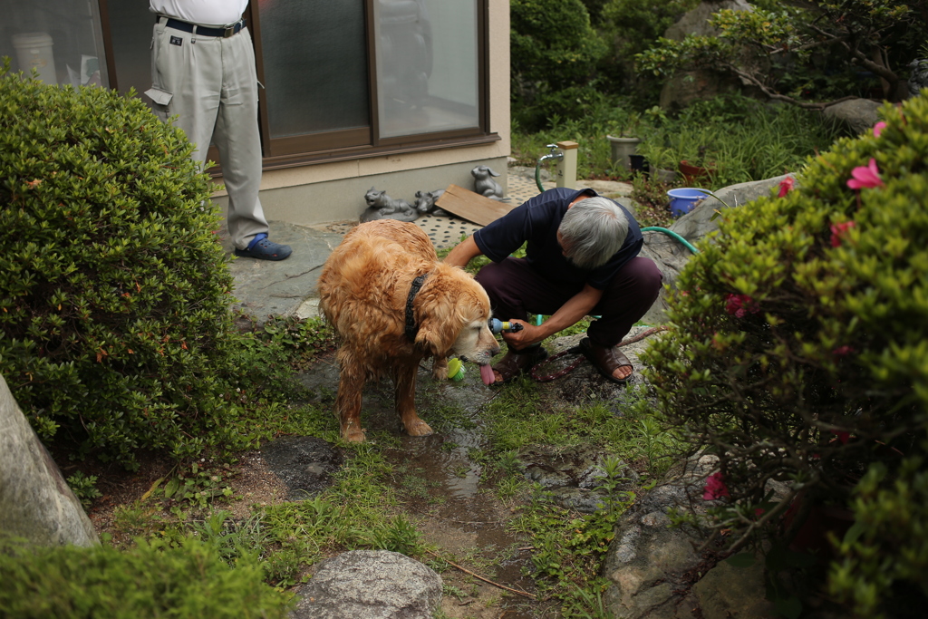 泳いで汚れたから洗ってもらうみゅうちゃん