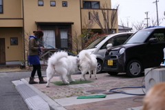 サンちゃんとココさん