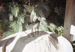 Trip35にて円明寺（えんみょうじ）