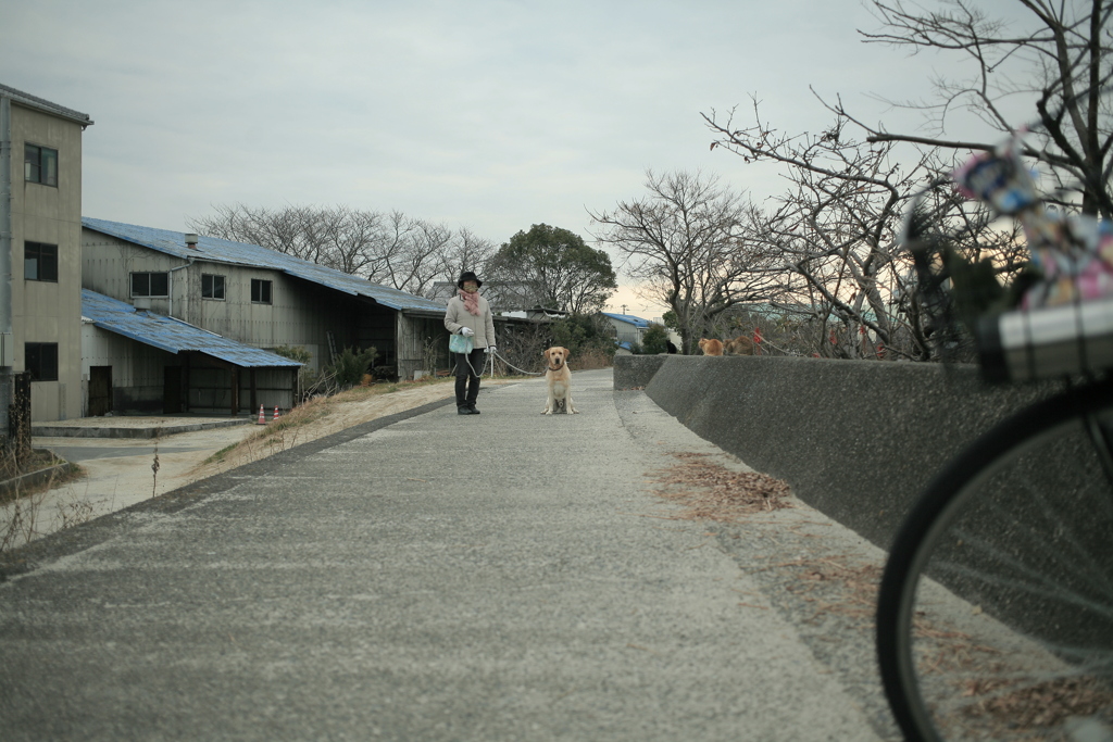 このあとラガーマン並みの猛アタックしてくるサーブ