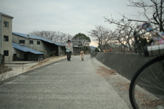 このあとラガーマン並みの猛アタックしてくるサーブ