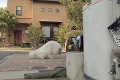 ＠2018-06-29
