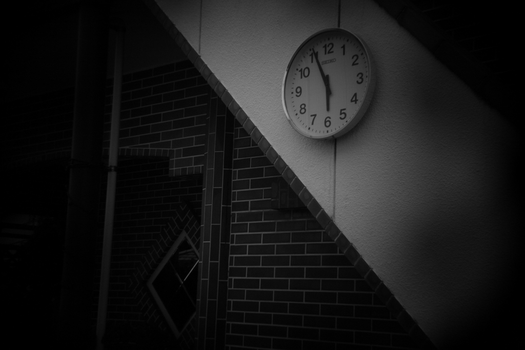 Holga lens by Monochrome