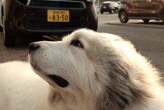 2017-02-06 カラー　２