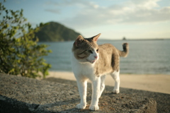 ＠2021‐08‐09