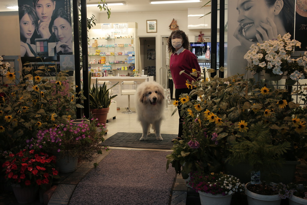 お店番してるココさんとまやさん