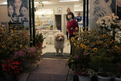 お店番してるココさんとまやさん