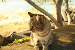 日曜＠2019‐10‐13