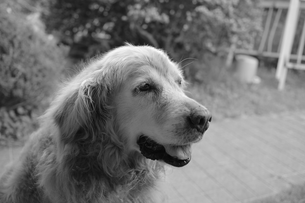 みゅうちゃん＠北条水軍ユースホステル