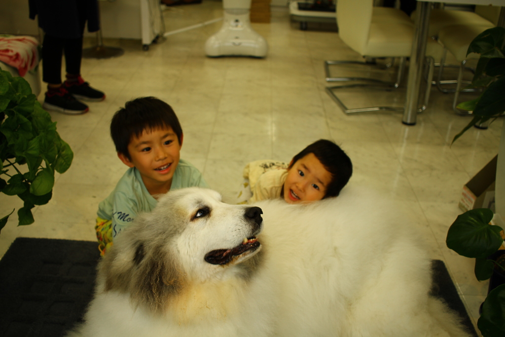 モテモテのココさん