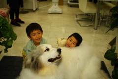 モテモテのココさん