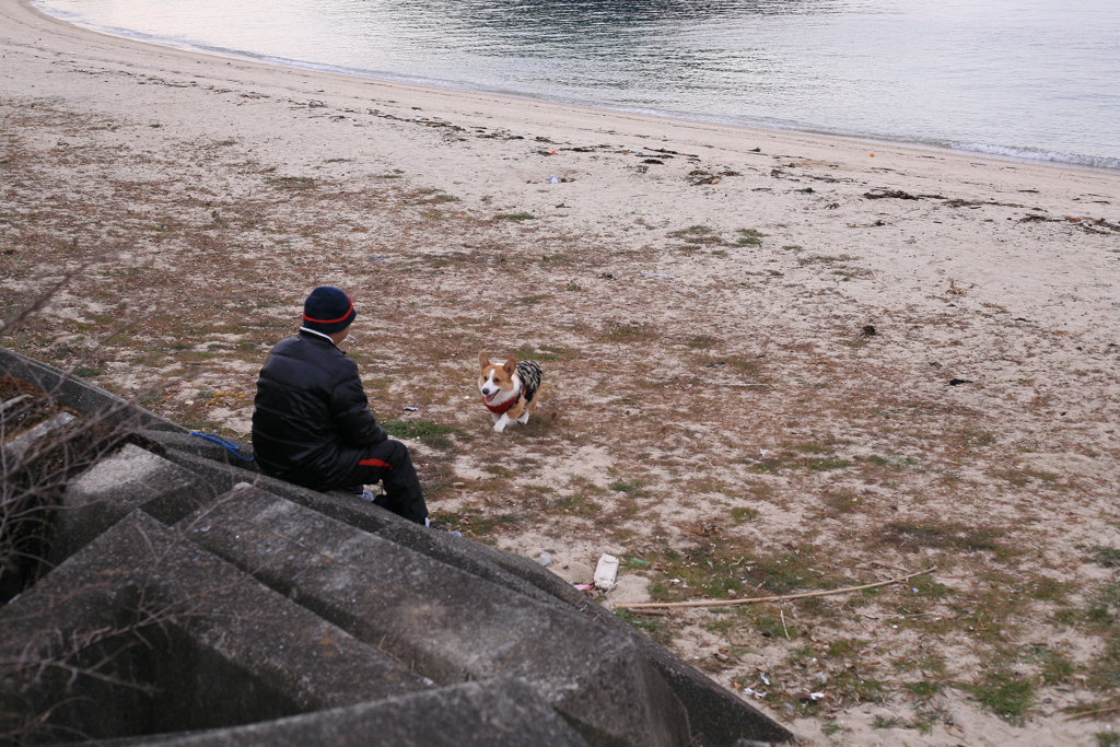 お父さん大好き