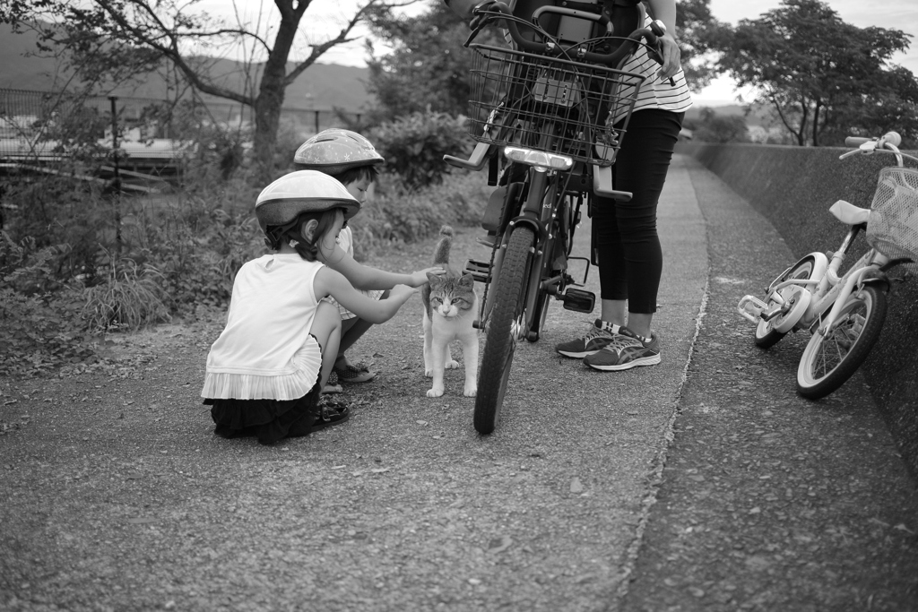 ＠2021‐08‐15