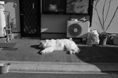 昼＠2017-12-06水曜