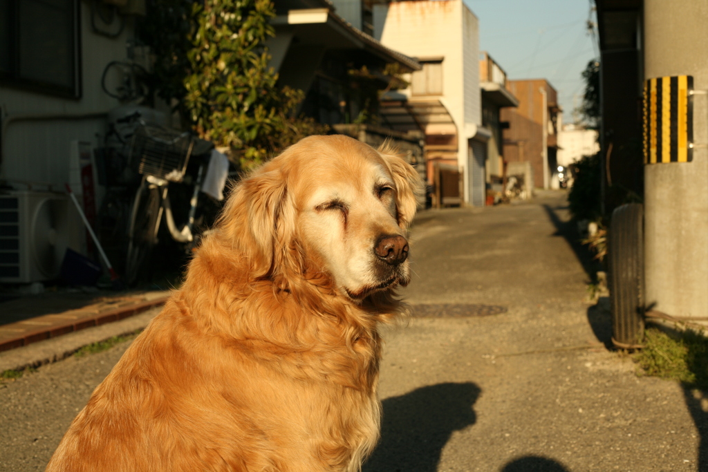 お宿番してる営業本部長みゅうちゃん