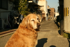 お宿番してる営業本部長みゅうちゃん