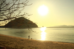 @2020‐02‐19