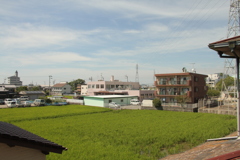 761円でヤフオクで落とせたレンズなのにめっちゃいい