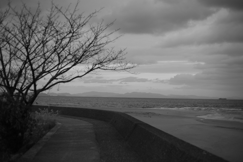 寒くなりますな