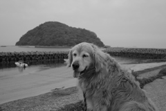 モノクロ＠2020‐06‐03