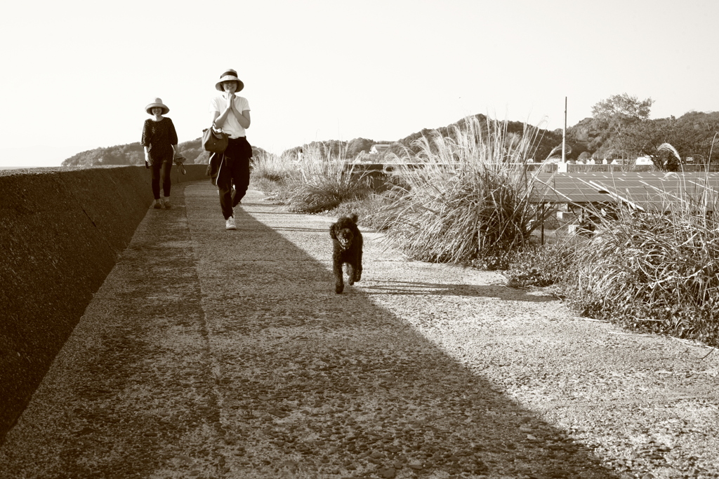 メロンちゃん御一行