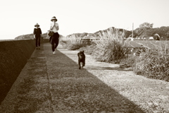 メロンちゃん御一行