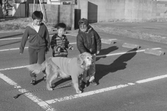 2017-02-11 モノクロ　４