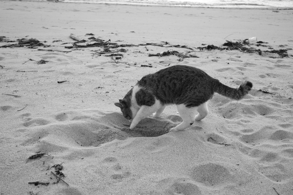 モノクロ＠2020‐03‐21