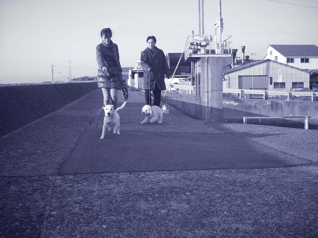 @2020‐03‐02